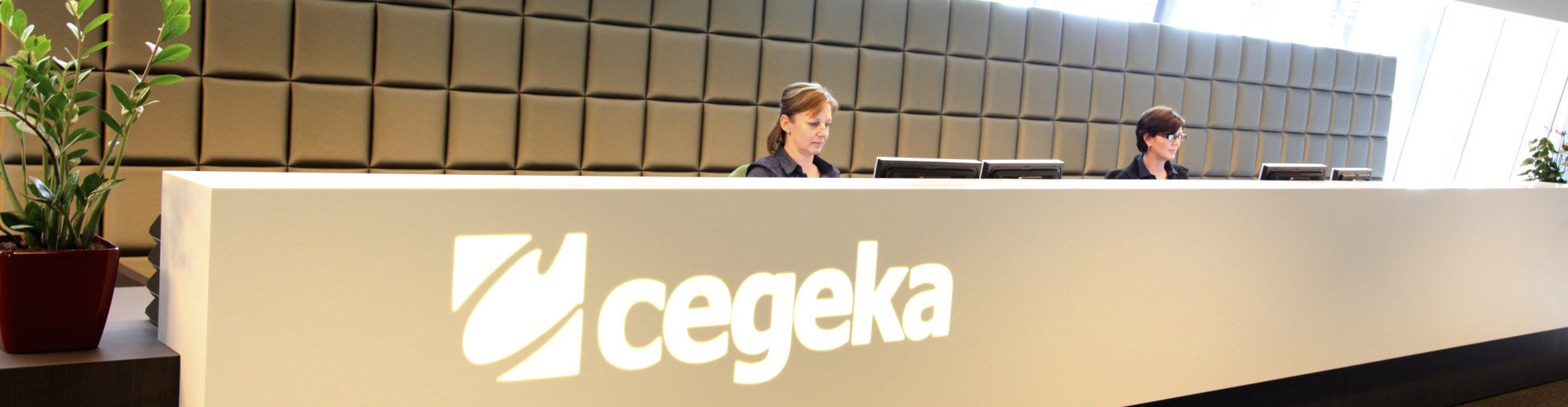 Cegeka cover image