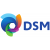 DSM logo image